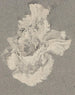 Azalée - Carel Adolph Lion Cachet — vy av konstverket