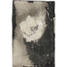 Reproduktion av målningen Fleur - Carel Adolph Lion Cachet