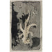 Reproduktion av målningen Fleur orkidé 1874 1945 - Carel Adolph Lion Cachet