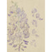 Reproduktion av målningen Glycine - Carel Adolph Lion Cachet