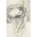 Reproduktion av målningen av vita blommor i ett glas - Carel Adolph Lion Cachet