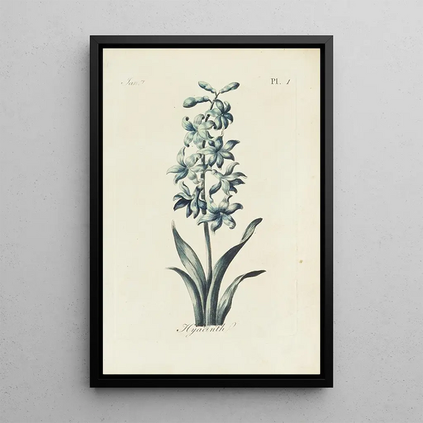 Reproduktion av målningen Jacinthe - Carington Bowles