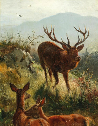 Carl Friedrich Deiker - Hirsch und Hirschkhe am Hgel.webp
