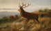 Troupeau de cerfs - Carl Friedrich Deiker — vy av konstverket