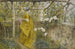 La Vigne - Carl Larsson — vy av konstverket
