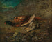 Naturtavla med fasan och tjäder - Carl Spitzweg — vy av konstverket