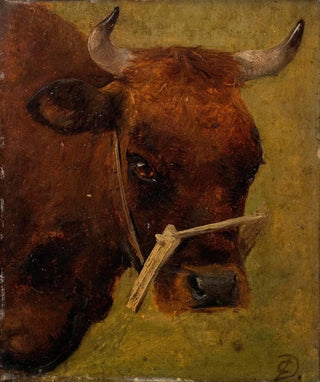 Carlo Dalgas - Head of a cow Study.webp