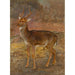 Reproduktion av målningen Cerf - Rosa Bonheur
