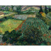 Reproduktion av målningen av vallmofält - Vincent van Gogh