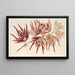 Acer polymorphum palmatum - Charles Antoine Lemaire — inramlat konstverk på väggen