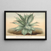 Agave Verschaffelti - Charles Antoine Lemaire — inramlat konstverk på väggen
