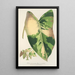 Reproduktion av målningen Alocasia macrorrhiza med variegata blad - Charles Antoine Lemaire