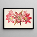 Amaryllis Belladonna - Charles Antoine Lemaire — inramlat konstverk på väggen