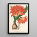 Amaryllis Hippeastrum Alberti - Charles Antoine Lemaire — inramlat konstverk på väggen