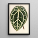 Reproduktion av målningen Anthurium crystallinum - Charles Antoine Lemaire