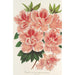 Azalea indica - Charles Antoine Lemaire — vy av konstverket