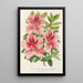 Reproduktion av målningen Azalea indica hybrida Madame Verschaffelt - Charles Antoine Lemaire