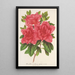 Azalea indica hybrida Madame Wagner - Charles Antoine Lemaire — inramlat konstverk på väggen