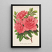 Azalea indica hybrida William Bull - Charles Antoine Lemaire — inramlat konstverk på väggen