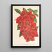 Bougainvillea spectabilis - Charles Antoine Lemaire — inramlat konstverk på väggen