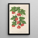 Reproduktion av målningen Bryonopsis laciniata var erythrocarpa - Charles Antoine Lemaire