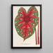 Reproduktion av målningen Caladium Duc Adolphe de Nassau - Charles Antoine Lemaire