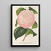 Reproduktion av målningen Camellia Archiduc Étienne - Charles Antoine Lemaire