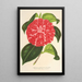 Reproduktion av målningen Camellia Cariotta Peloso hybrid - Charles Antoine Lemaire