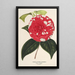 Camellia Giardino Santarelli - Charles Antoine Lemaire — inramlat konstverk på väggen