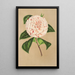 Reproduktion av målningen Camellia Principessa Clotilde - Charles Antoine Lemaire