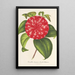 Reproduktion av målningen Camellia Souvenir d'Émile Defresne - Charles Antoine Lemaire