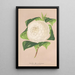 Reproduktion av målningen Camellia alba ornatissima - Charles Antoine Lemaire