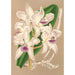 Cattleya amethystoglossa - Charles Antoine Lemaire — vy av konstverket
