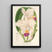 Cattleya quadricolor - Charles Antoine Lemaire — inramlat konstverk på väggen