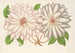 Clematis patens - Charles Antoine Lemaire — vy av konstverket