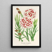 Reproduktion av målningen Dianthus Verschaffeltii - Charles Antoine Lemaire