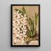 Reproduktion av målningen Epidendrum conspicuum - Charles Antoine Lemaire
