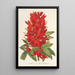 Reproduktion av målningen Erythrina hybrida Marie Bellanger - Charles Antoine Lemaire