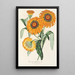 Gazania splendens hybride - Charles Antoine Lemaire — inramlat konstverk på väggen
