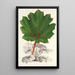 Reproduktion av målningen Gunnera brephogea - Charles Antoine Lemaire
