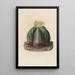 Reproduktion av målningen Ikonografisk beskrivning av kaktusar Pl07 - Charles Antoine Lemaire