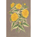 Reproduktion av målningen Kerria japonica med silverfärgade blad - Charles Antoine Lemaire