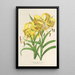 Reproduktion av målningen Lilium Leichtlinii - Charles Antoine Lemaire