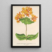 Reproduktion av målningen Lonicera sempervirens Plantierensis - Charles Antoine Lemaire