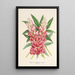 Reproduktion av målningen Lupinus insignis hybridus - Charles Antoine Lemaire