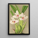 Reproduktion av målningen Maxillaria grandiflora - Charles Antoine Lemaire