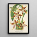 Reproduktion av målningen Odontoglossum hallii - Charles Antoine Lemaire
