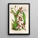Reproduktion av målningen Odontoglossum reichenheimii - Charles Antoine Lemaire