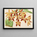 Odontoglossum luteopurpureum var. sceptrum - Charles Antoine Lemaire — inramlat konstverk på väggen