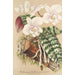 Phalaenopsis schilleriana - Charles Antoine Lemaire — vy av konstverket